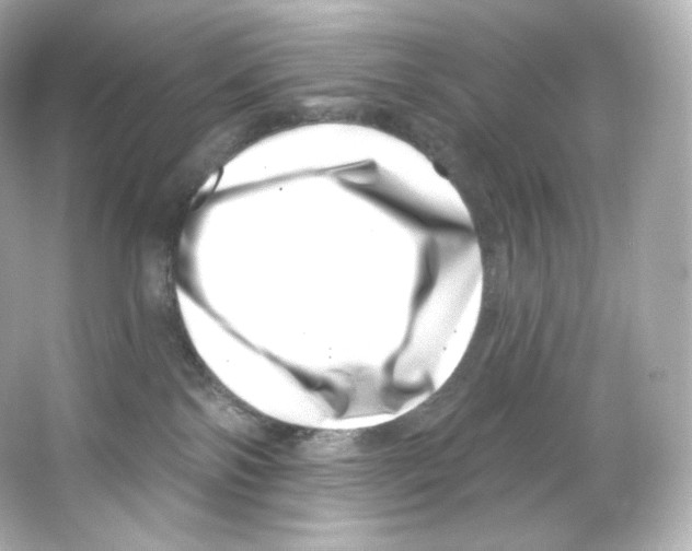 X0000065260138200603172240