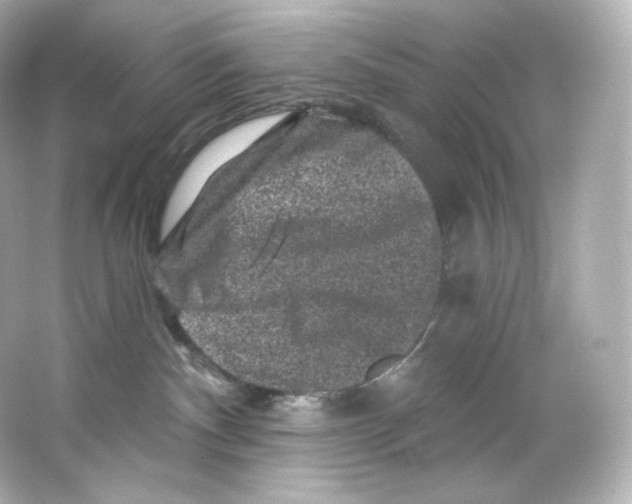 X0000065260140200603172240