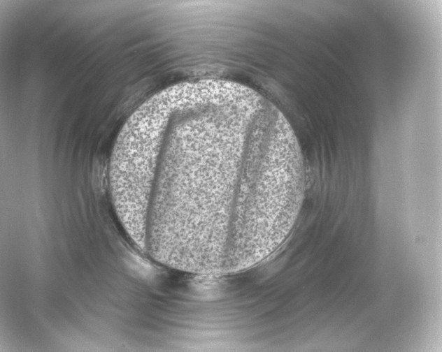 X0000065260142200603172240