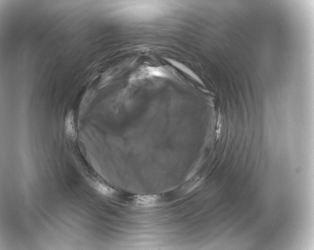 X0000065260143200603172240