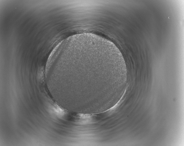 X0000065260144200603172240