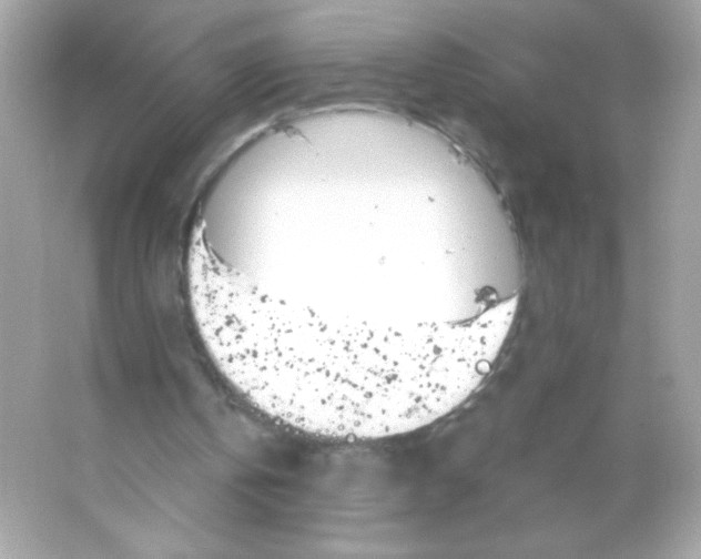 X0000065260146200603172239