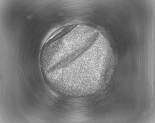 X0000065260147200603172239