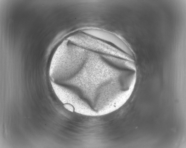 X0000065260151200603172239