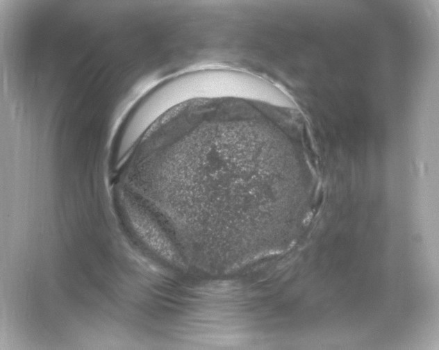 X0000065260152200603172239