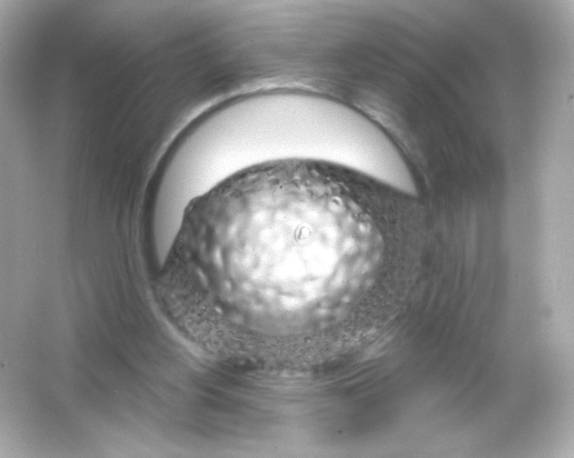 X0000065260156200603172239