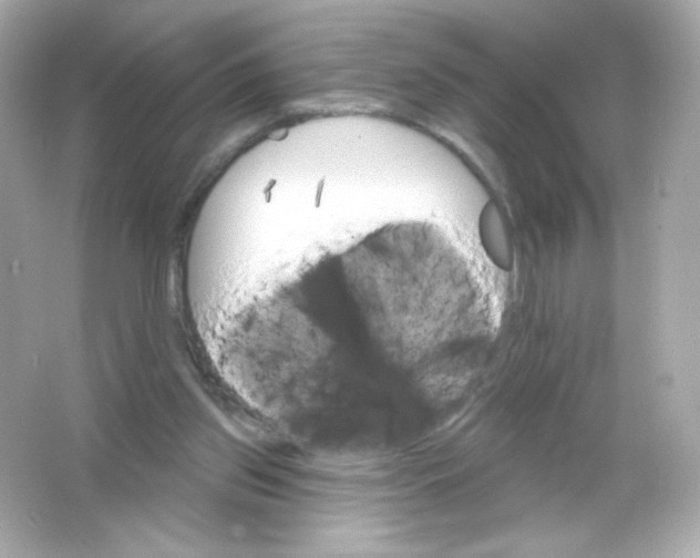 X0000065260157200603172239