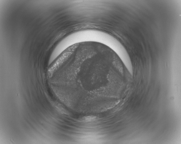 X0000065260158200603172239