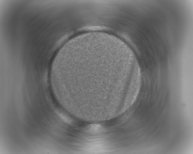 X0000065260159200603172239