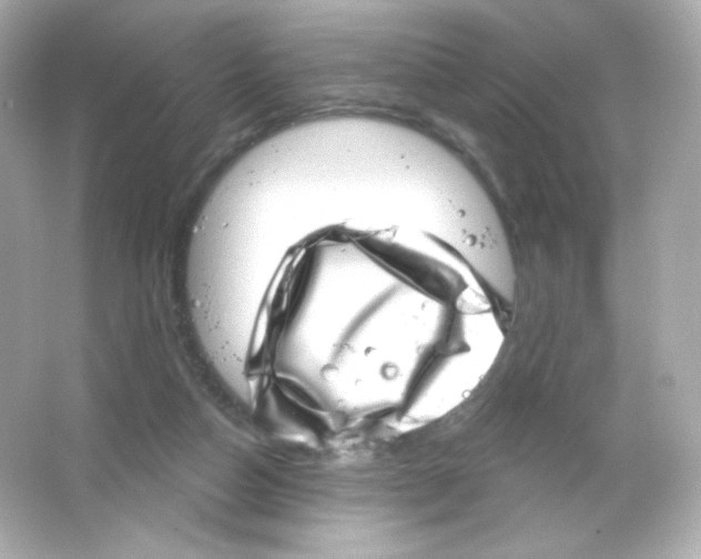 X0000065260162200603172239