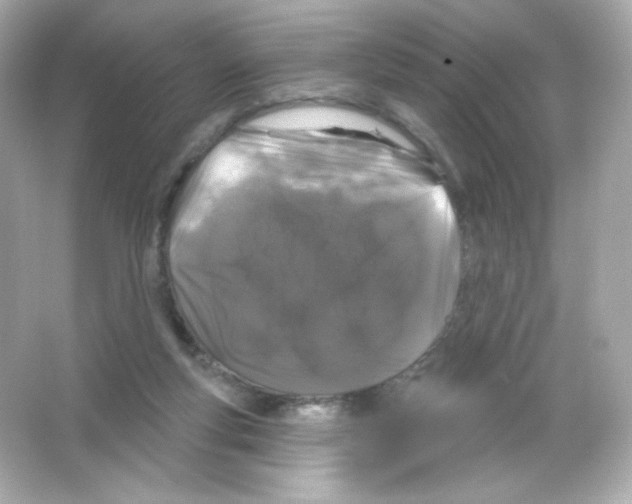 X0000065260163200603172239