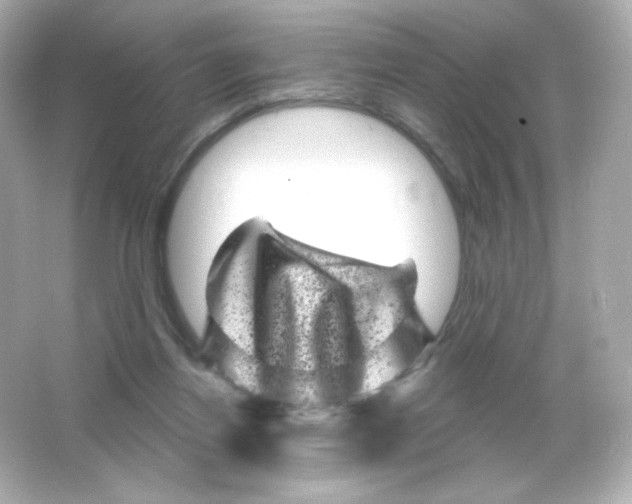 X0000065260164200603172239