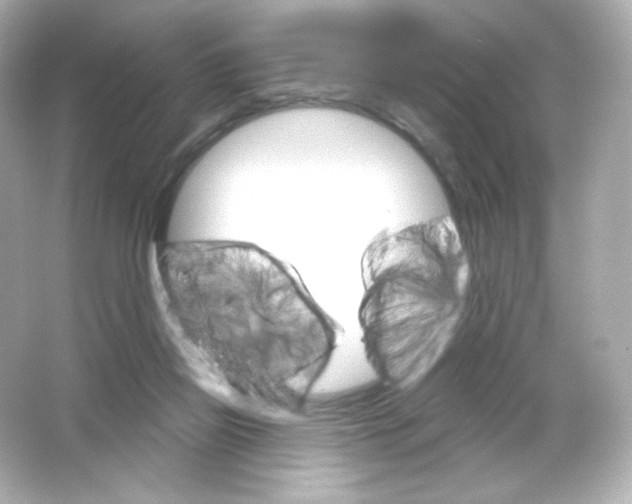 X0000065260165200603172240