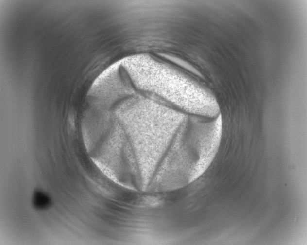 X0000065260166200603172240