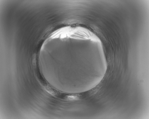 X0000065260167200603172240