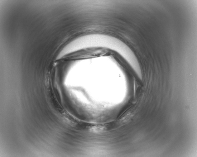 X0000065260168200603172240