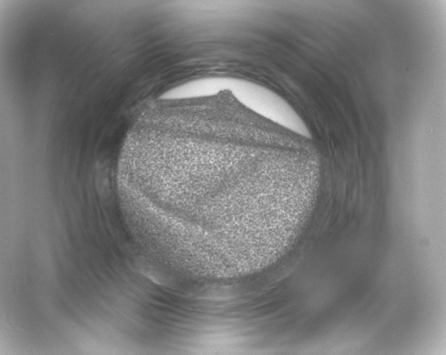 X0000065260169200603172240