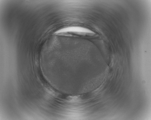 X0000065260170200603172240