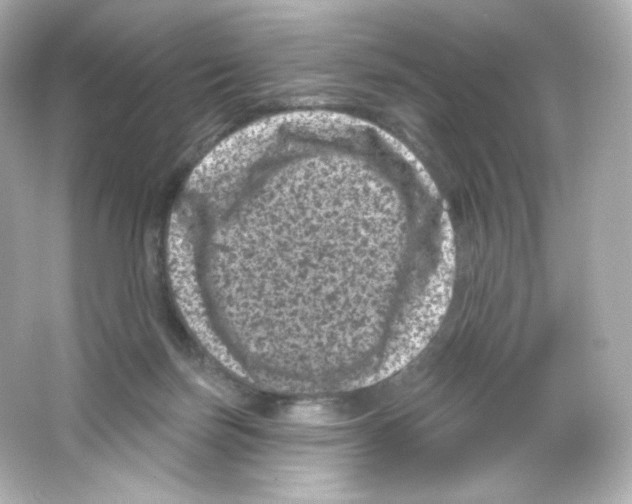 X0000065260171200603172240