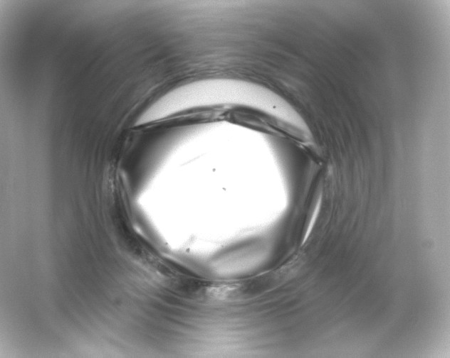 X0000065260172200603172240