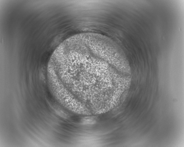 X0000065260175200603172240