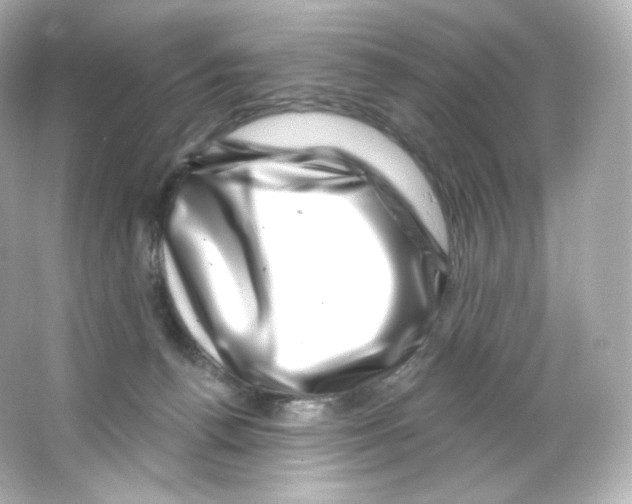 X0000065260176200603172240