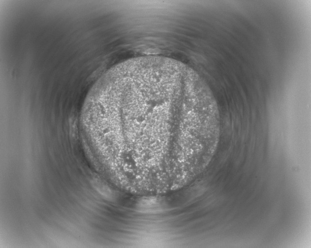 X0000065260177200603172240