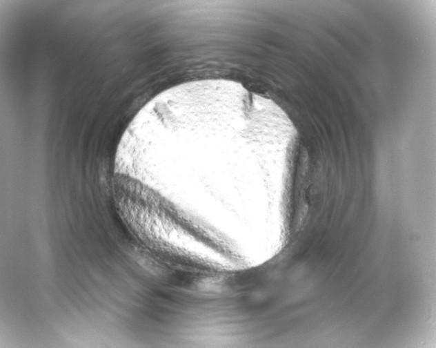 X0000065260178200603172240