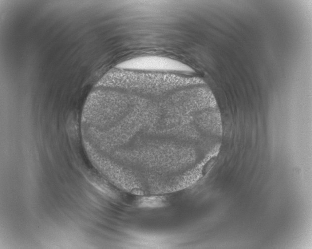 X0000065260179200603172240