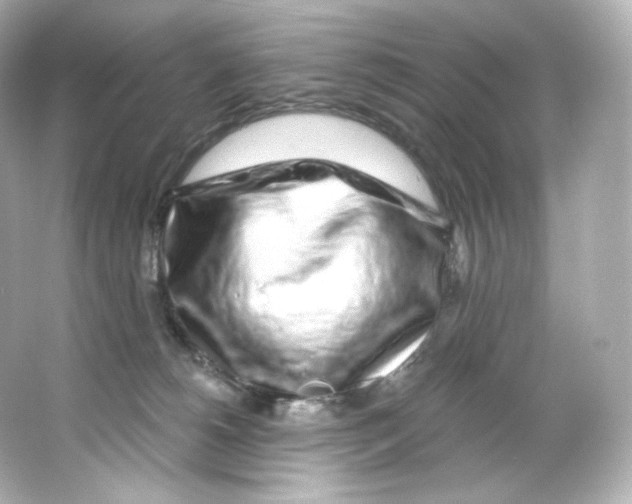 X0000065260180200603172240