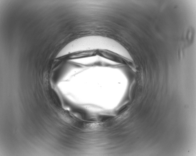 X0000065260184200603172240