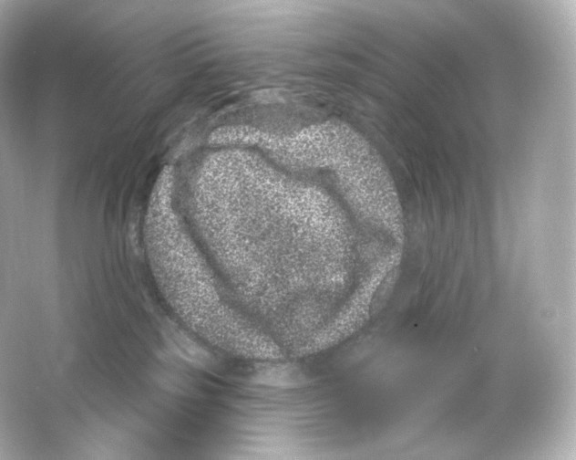 X0000065260185200603172240