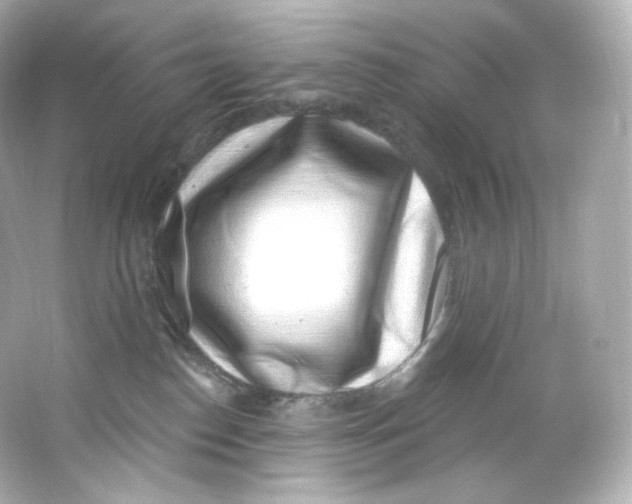 X0000065260186200603172240