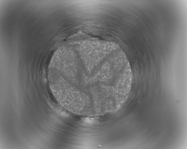 X0000065260187200603172240