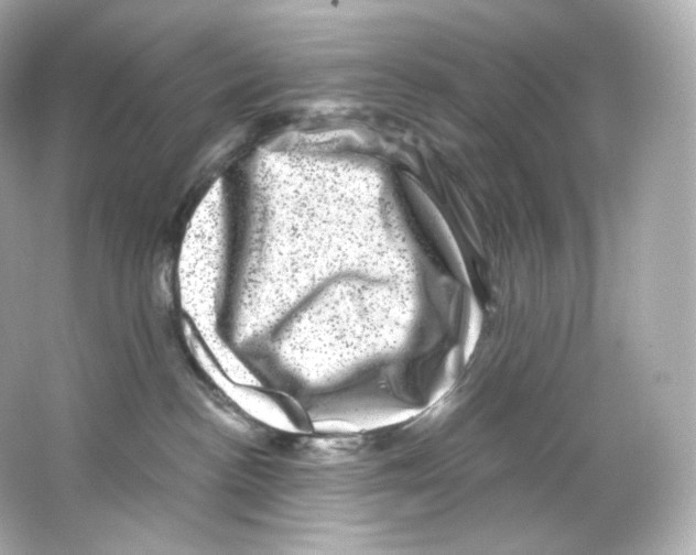 X0000065260188200603172240