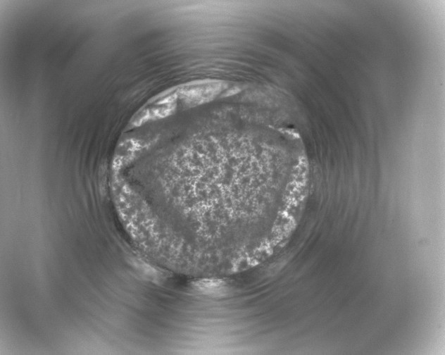 X0000065260189200603172240