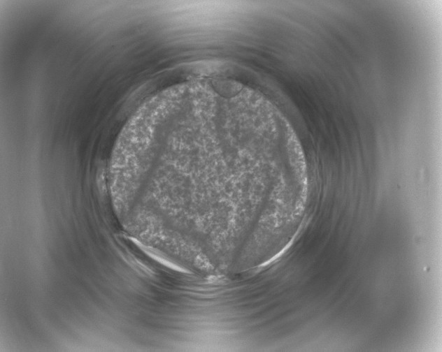 X0000065260191200603172240