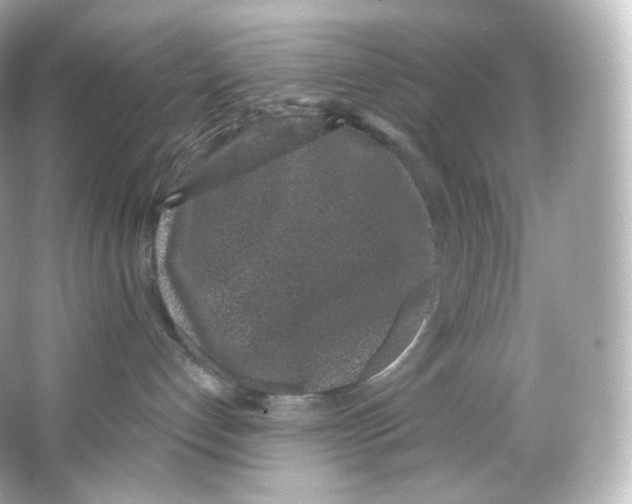 X0000065260192200603172240