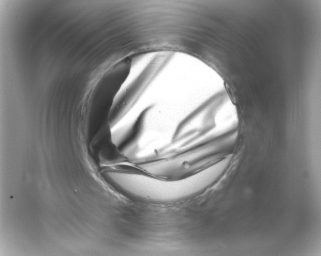 X0000065260193200603172239