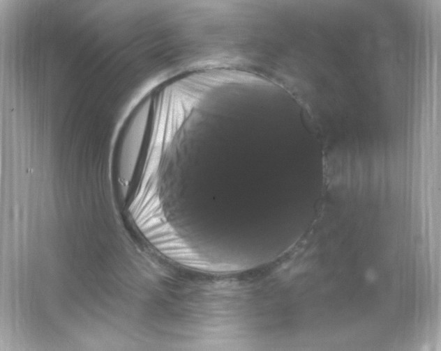 X0000065260196200603172239