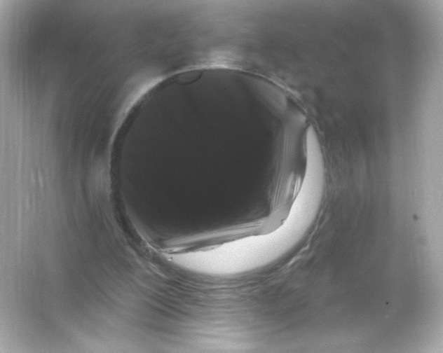 X0000065260200200603172239