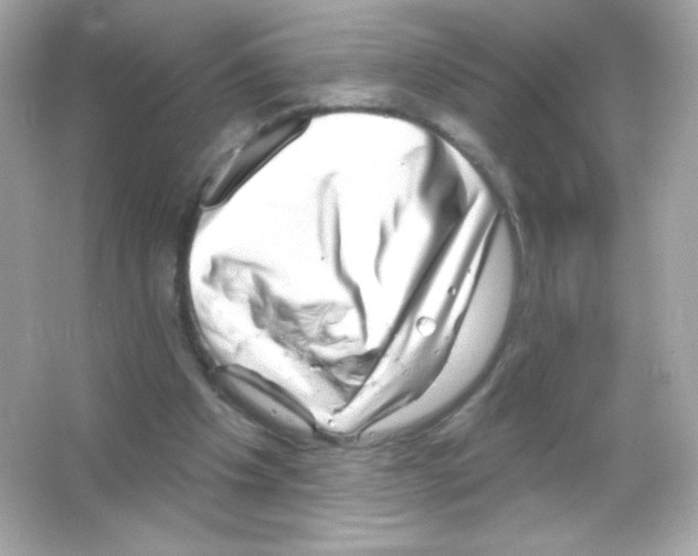 X0000065260201200603172239