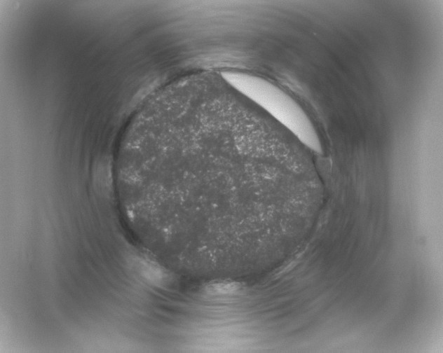 X0000065260202200603172239