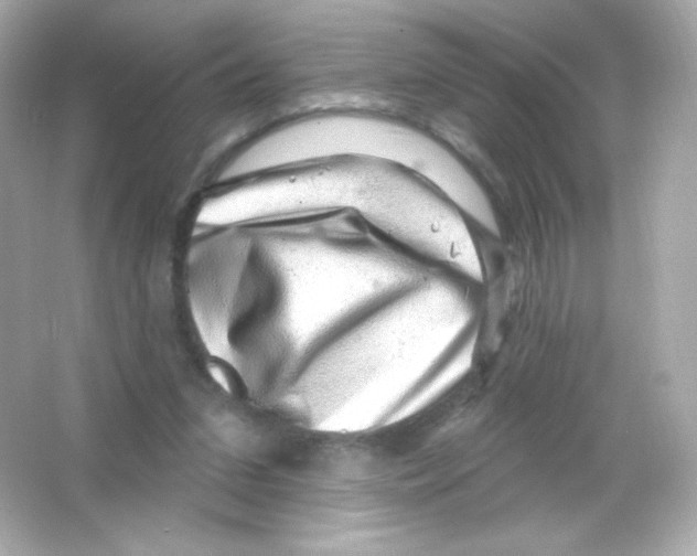 X0000065260207200603172239