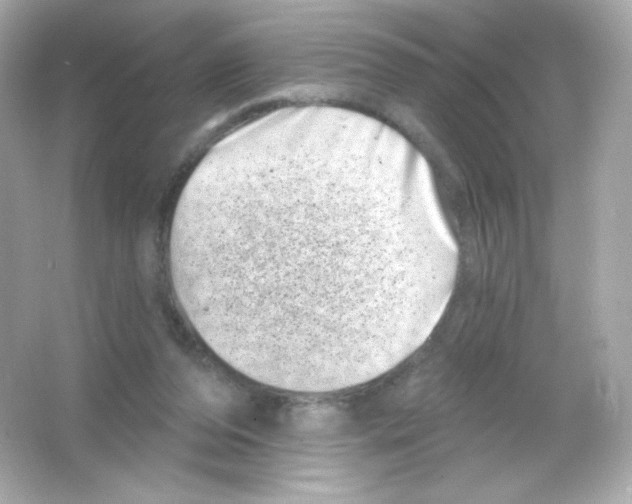 X0000065260208200603172239