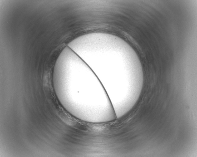 X0000065260209200603172239