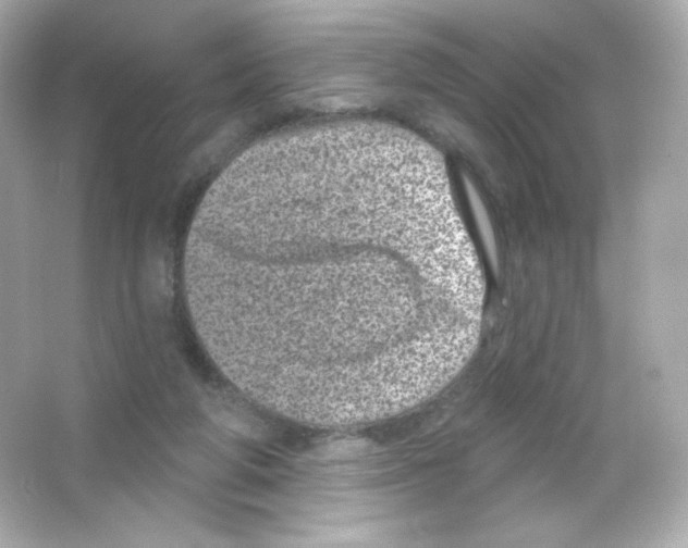 X0000065260210200603172239