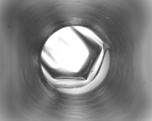 X0000065260212200603172239