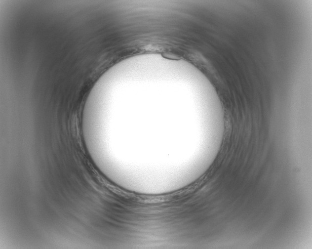 X0000065260213200603172239