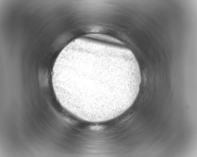 X0000065260216200603172239